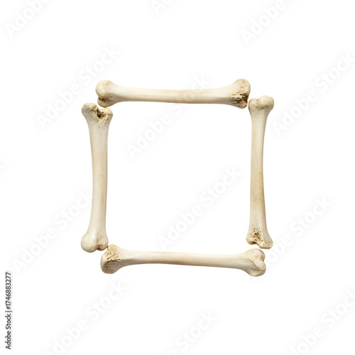 Arrangement of bones forming a square frame against Transparent Background