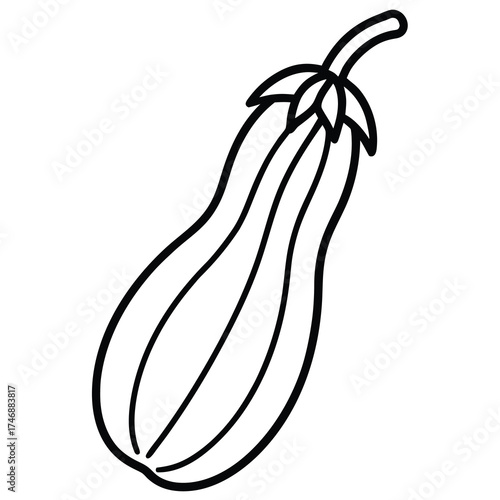 zucchini flower vector line art icon