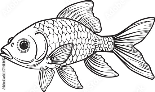coloring page for kids, goldfish on a white background, with thick lines, low detail, black and white, and no shading