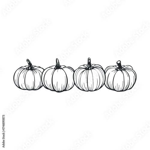 Four decorative pumpkins for autumn and Halloween celebrations. Vector hand drawn illustration