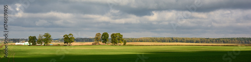 autumn rural scene. A vast agricultural field with green grass, trees in the middle ground, and a forest in the background under a cloudy sky. nice autumn day. widescreen photo panorama in 20x5 format