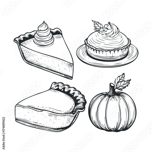 Delicious pumpkin desserts for autumn gatherings and celebrations. Vector hand drawn illustration
