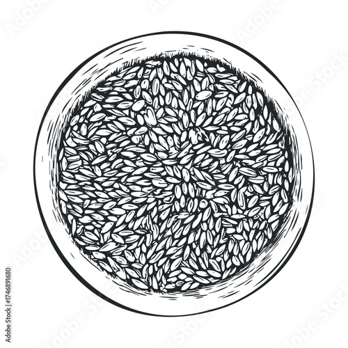 Different types of seeds arranged in a bowl for cooking and baking. Vector hand drawn illustration