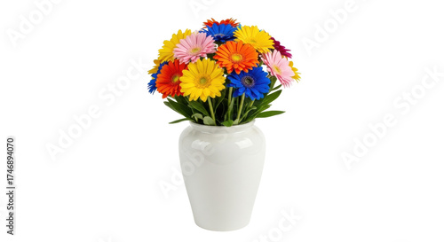 Isolated bouquet of vibrant gerbera daisies in ceramic vase for greeting or celebration