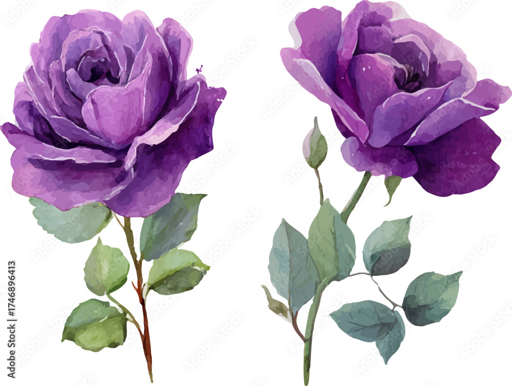 Fototapeta premium bouquet of pink roses