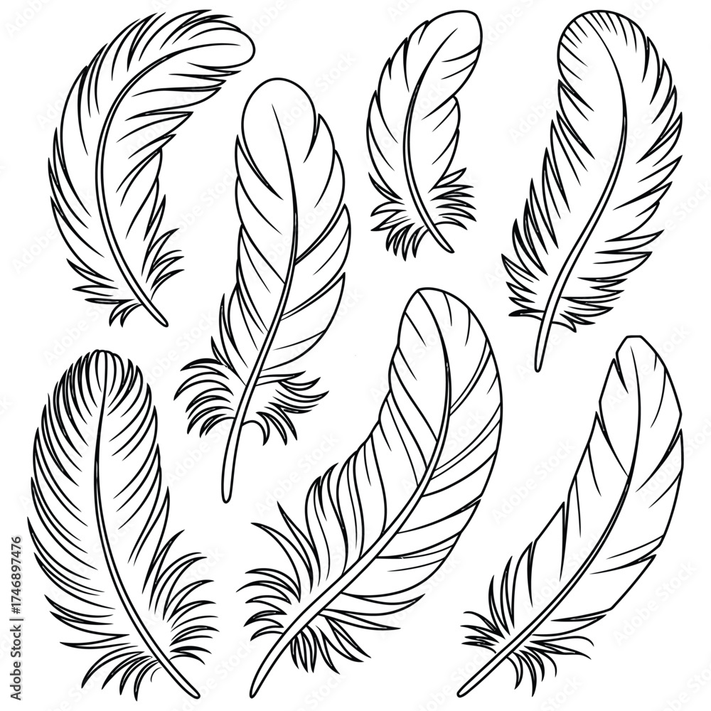 Obraz premium Elegant seamless pattern with vector feathers and quill pen illustration for a vintage design set