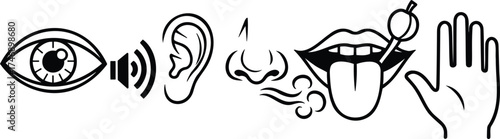 Five Human Senses Detailed Vector Set – Sight, Hearing, Smell, Taste, and Touch Illustration