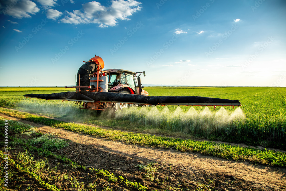Fototapeta premium Tractor spraying agricultural wheat field applying pesticide chemical