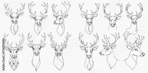 Collection of detailed deer head sketches with antlers.