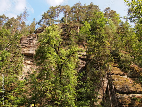 Bohemian Switzerland National Park (Czech Republic)