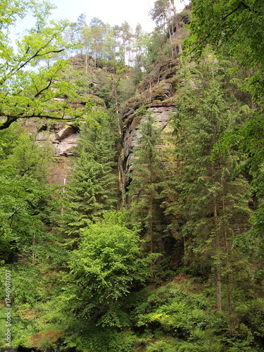 Bohemian Switzerland National Park (Czech Republic)