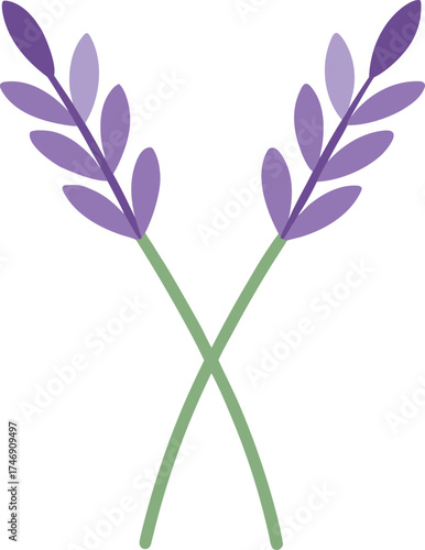 a pair of lavender stems crossing softly like love