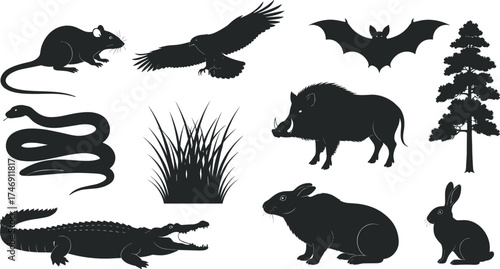 Silhouette, wildlife, animals, bird, bat, rat, snake, boar, crocodile, rabbit, capybara, tree, grass, nature, forest, ecosystem, mammal, reptile, flying, sitting, vector, illustration