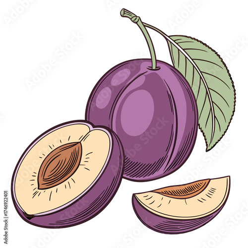 oullins gage plum on white background 