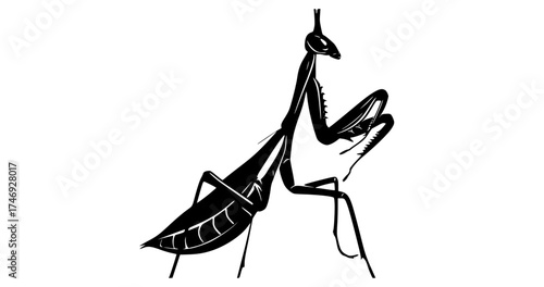 a stylized praying mantisch, depicted in black and whiteblack, grasshopper, illustration, insect, mantid, profile, stick insect, white 
