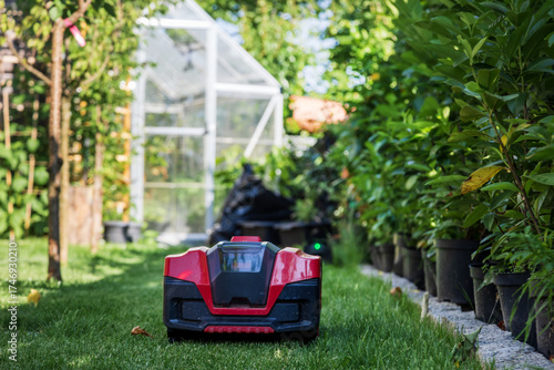 Autonomous red robotic lawn mower cutting grass in sunny garden near shed. Modern smart gardening equipment for lawn maintenance.