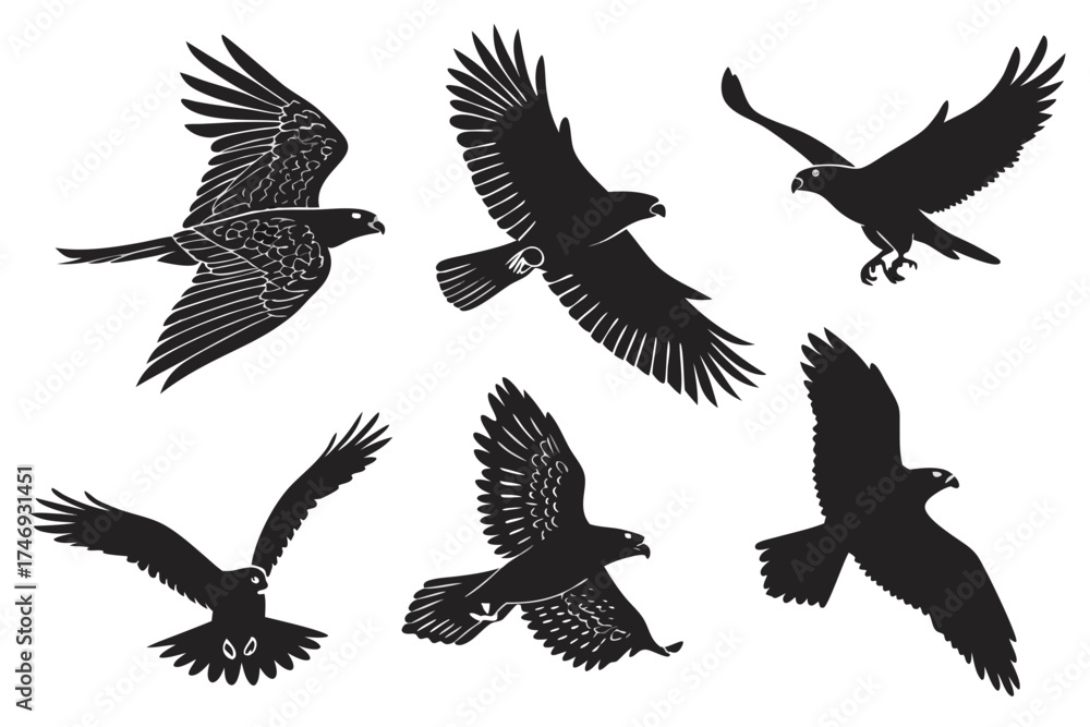 Obraz premium Silhouette eagle flying vector illustration, bird of prey in flight, falcon hawk condor eagle isolated art