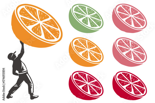 Orange lime grapefruit citrus fruit half slices vector illustration for healthy eating and juice designs silhouette