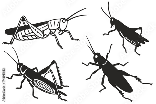Vector graphic of grasshopper insect illustration featuring locusts and cricket bug silhouettes for design