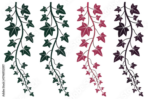 Ivy vine illustration climbing plant foliage design botanical drawing decorative element nature themed artwork silhouette