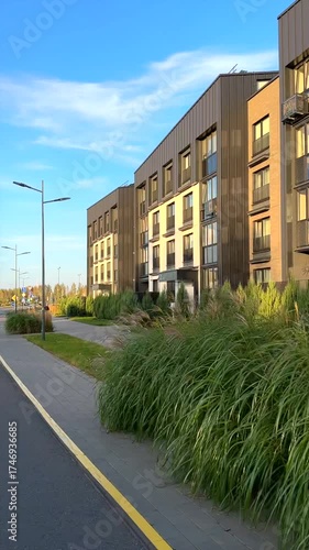 Ornamental grass in landscape design. Planting ornamental grass, shrubs in city infrastructure. Landscape Design for yard of Apartment buildings. Landscaping for urban space. Facade Condo house block.
