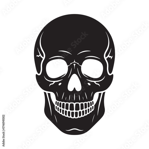 A stark black and white illustration of a human skull facing forward with detailed bone structure and empty eye sockets