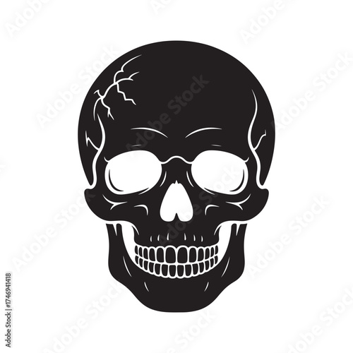 Black and white illustration of a human skull with detailed cracks and bone structure