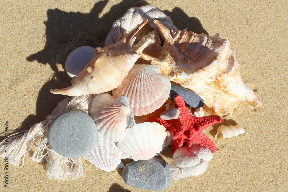 Obraz premium There are many sea shells and stones on the yellow sand.