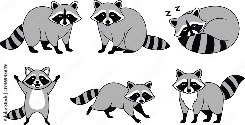 Obraz premium Cartoon raccoon character set in playful poses and expressions for wildlife, educational, and animal-themed vector illustration design