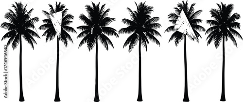 Palm tree silhouette set featuring tropical shapes and frond variations for botanical, beach, nature-themed, and vector illustration design