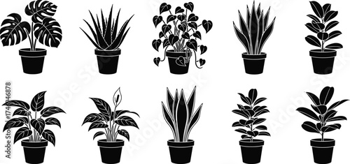 Potted plant silhouette set featuring diverse leaf shapes and arrangements for botanical, decorative, and houseplant-themed vector illustration design