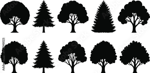 Tree silhouette set featuring broadleaf and conifer varieties for botanical, seasonal, nature-themed, and educational vector illustration design