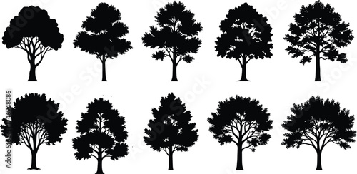 Tree silhouette set featuring diverse canopy structures and trunk styles for botanical, landscape, nature-themed, and vector illustration design