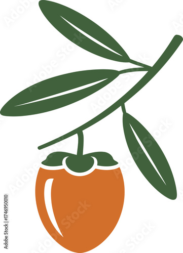 Persimmon Fruit on Branch

