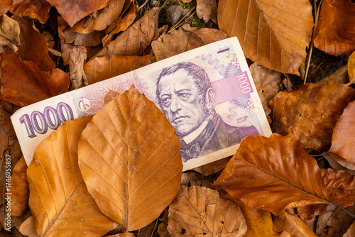 Czech money. A thousand Czech crowns banknote lying among the dried leaves. Financial concept. close up