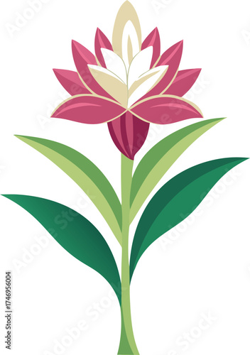 Vector illustration of a stylized pink and white exotic flower with large green leaves on a single stem isolated on a white background