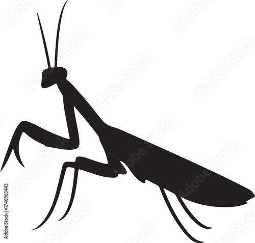 Minimalist Praying Mantis Silhouette Vector Black Insect Illustration on White Background