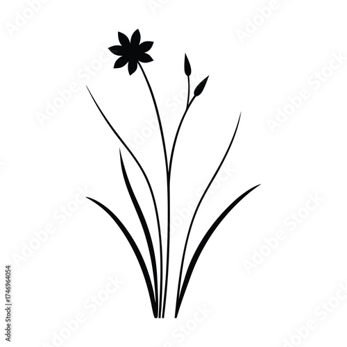 Elegant black silhouette of a delicate flower with slender stems and leaves