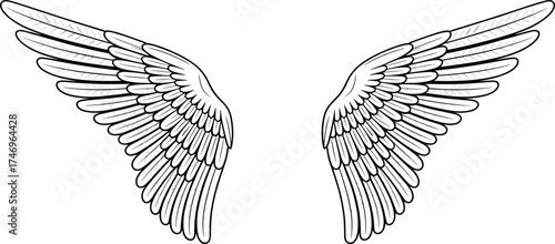 fashion, design, art, wings, feather, angel, bird, flight, freedom, tattoo, vector, illustration, sketch, outline, template, pattern, symmetry, decorative, motif, emblem