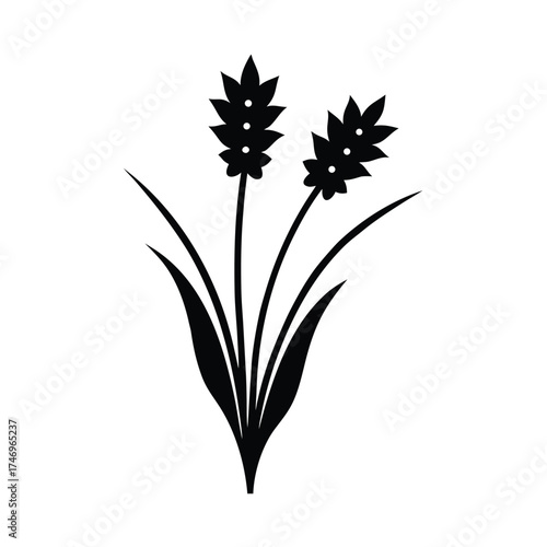 Elegant black silhouette of two delicate lavender flower stalks with leaves