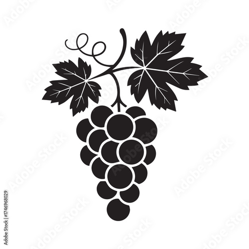 Vector art of black silhouette of a ripe bunch of grapes with leaves and a tendril, isolated on a