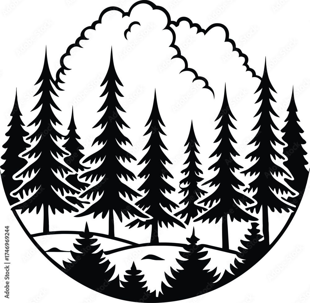 Obraz premium Moody pine forest landscape with mist rising in the distance isolated on white background isolated on transparent background
