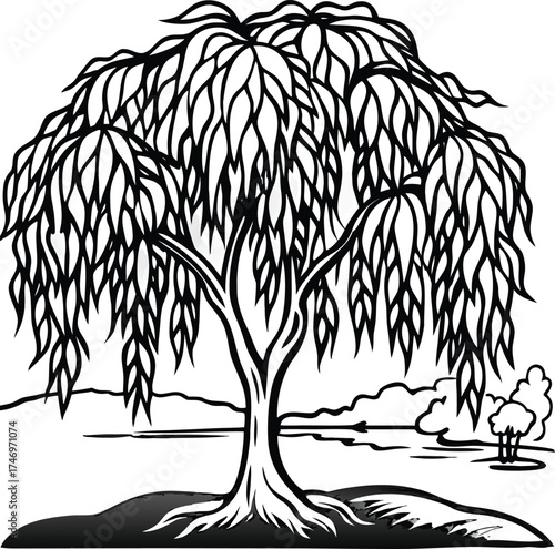 Elegant willow tree by a serene lakeside with gracefully drooping branches isolated on white background isolated on transparent background