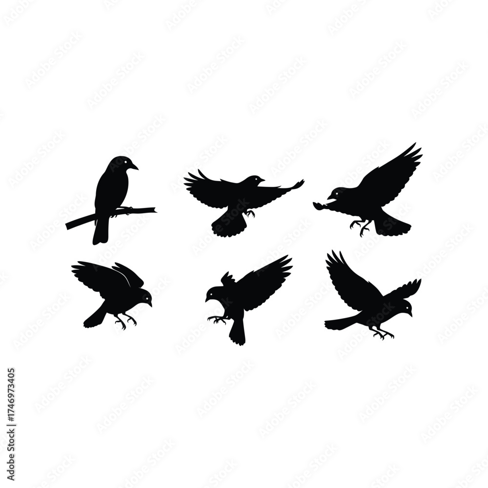 Fototapeta premium Silhouette collection majestic birds in flight and perched diverse poses vector