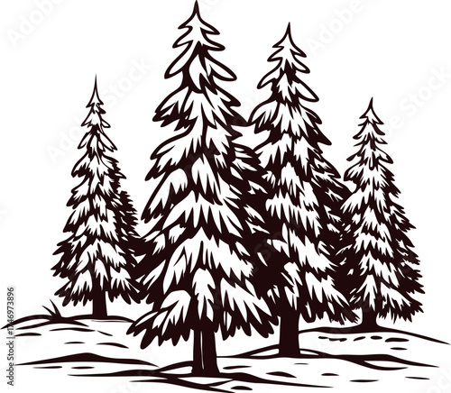Snow covered pine trees illustration in vintage engraving on white background
