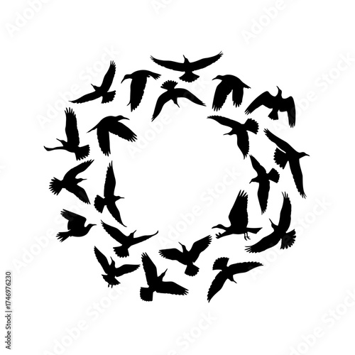 Silhouettes of birds in flight forming a circular pattern on a white background.
