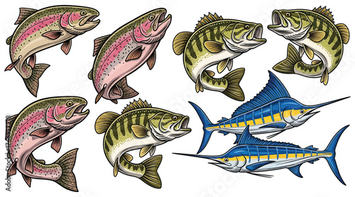 Vector art of collection of various fish species, including trout, bass, and marlin, showcasing the diversity and beauty of aquatic life in a vibrant illustration