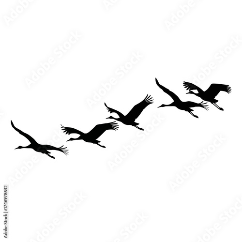 Silhouettes of cranes flying in formation against a white background.
