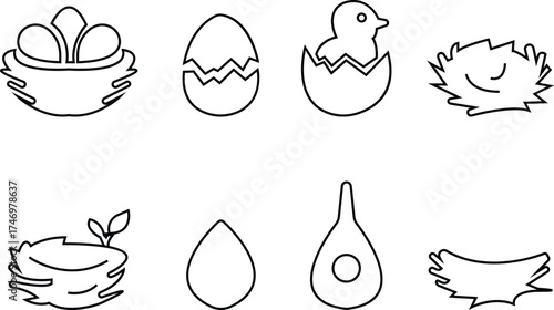 vectors of stylized bird nests with eggs and birds icon set, for logos and design elements, Eggs, Nature, Wildlife, Tree Branch, Shelter, Parenting, Animal Habitat, Environment, and Natural Care