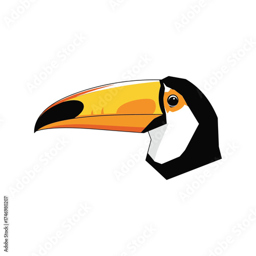 Vibrant toucan bird head profile close up exotic tropical wildlife vector